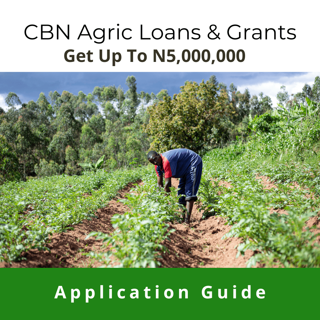 complete-list-of-agric-loans-grants-get-access-to-50-million