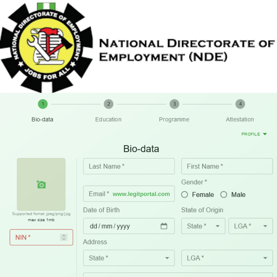 NDE Artisan Registration and Application Form